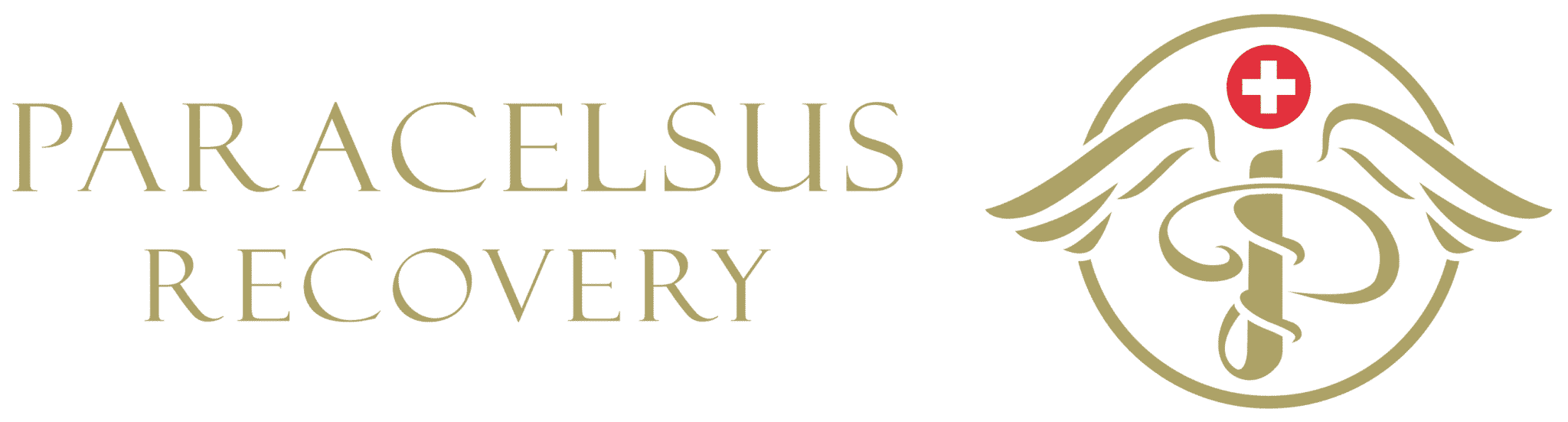 paracelsus-logo-1